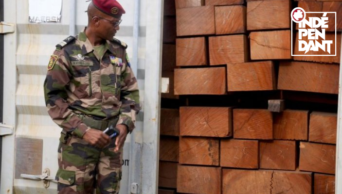 Owendo&nbsp;: 10 conteneurs de kevazingo retrouvés abandonnés sur le site de l’entreprise Getman