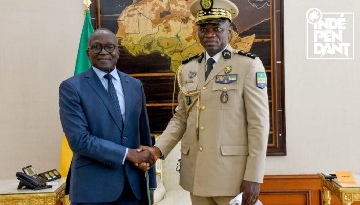 Le ministre du Pétrole et de la Santé chez Brice Clotaire Oligui Nguema