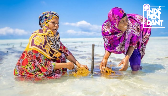 Il est urgent d’adopter un «&nbsp;Pacte Bleu&nbsp;» pour protéger nos océans, selon la CNUCED